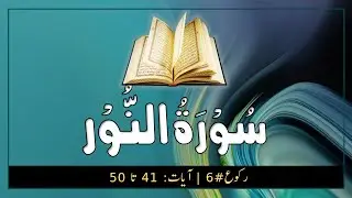#QU24-6| تفہیم القرآن | Surah An-Noor Ruku 06 | ترجمہ و تشریح | #quran #noor #species #servitude