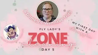 Уборка зоны FlyLady, день 5 | Зона кухни | Формирование новых привычек уборки
