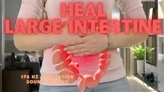 176 hz | frequency associated with the colon | binaural beats | healing human organs | scalar energy