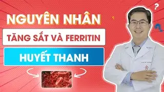 Nguy&ecirc;n Nh&acirc;n Tăng Sắt V&agrave; Ferritin Huyết Thanh