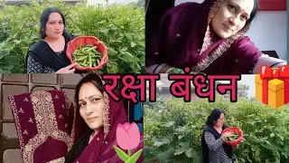मेरा किचन गार्डन कभी भी मुझे निराश नहीं होने देता || village life || pahadi vlog || Himachal blog 