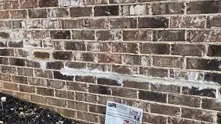 Blomquist Builders Group | Brick Repair | Homeowner sued by Jennifer Blomquist for defamation