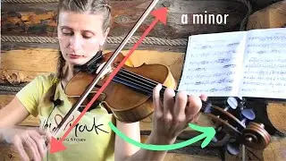 Short Violin Lessons / Schradieck