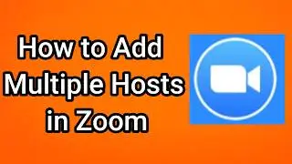 Как добавить нескольких организаторов в Zoom