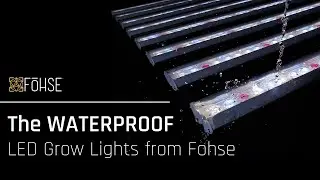 Waterproof LED Fixtures from Fohse