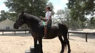 Ride Smart, Ride Natural, Ride Well, Part II: Mindfulness