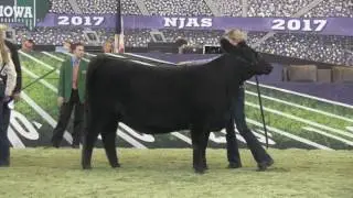 NJAS 2017: Owned Angus Heifers