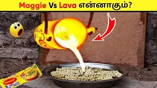 Maggie Vs Lava என்னாகும்? | Facts in Tamil_Facts in Minutes Mystery_InFact Tamil_Info Bytes #shorts