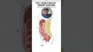 Surgical Abdomen for the USMLE | HyGuru
