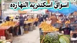 معقولة اللى بيحصل في السوق ده الفراخ عدت الحدود والخضار والسمك