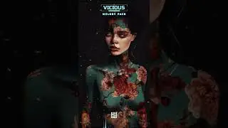 [FREE] SAMPLE PACK 