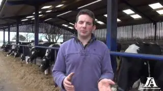 Data entry through mobile app on a dairy farm