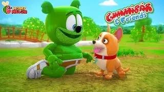Gummy Adopts a Puppy where No Dogs Allowed | Gummy Bear | Funny Cartoons