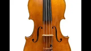 Bratsche Viola 15.5 Zoll Warmer Dunkler Klang - Klangbeispiel #1054  - vionoble.de