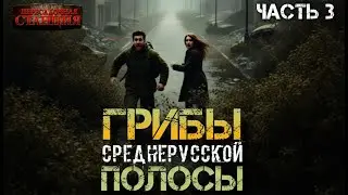 Грибы Среднерусской полосы. Часть 3 - Владимир Корн. Аудиокнига постапокалипсис. Выживание. Ласт