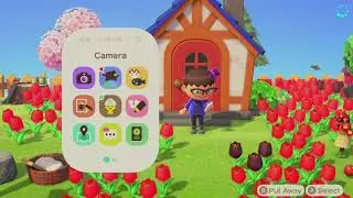 Animal crossing: New Horizons -- KK Slider and unlocking the Island Designer App!