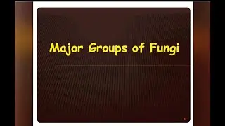 Lecture 26 Major groups of fungi #fungi #science #biology #exams