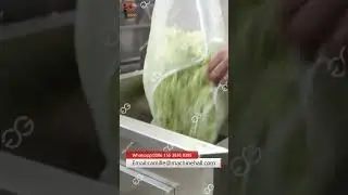 Salad Processing Making Machine Plant From A To Z