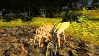 Let's play Gothic 2 Die Nacht des Raben Part 49: Verwehrter Sold