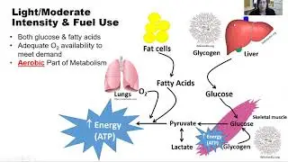 Duration Intensity Training Fuel Use