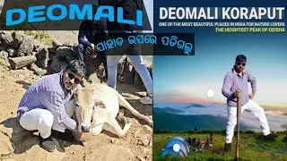 DEOMALI (THE HIGHEST PEAK IN ODISHA)KORAPUT #travel #viralvideo #adventuretourism #vlog #trending 