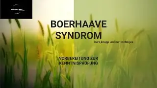 Boerhaave Syndrom, Pathogenese, Klinik, Diagnostik, Therapie