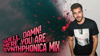 Well, Damn! Here You Are (Synthphonica Radio Mix) - The New Citizen Kane