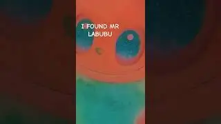 I FOUND MR LABUBU