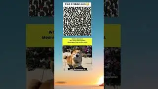 Comment if you find #funnyfoxes #memes #funnymemes #youtubeshorts #shortvideos #shorts #viralmemes