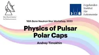Physics of Pulsar Polar Caps