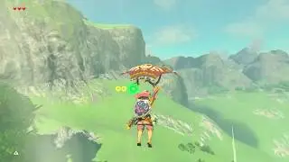 Legend of Zelda: BotW  Pink Link Tries Again to Teach Purple Link Updraft