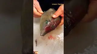 Unicorn Filefish 🐠 : Skinning, and Cutting The Horned Flounder Fish #shorts