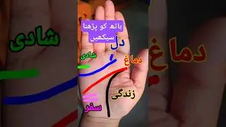 Palm Lines Information l Hand Reading with Meaning In Urdu l Hand reading #shorts #palmistry