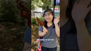 What we ate at the Bite of Seattle 2025😋✨#goodeats #seattlefoodie #foodshorts #thingstodoseattle