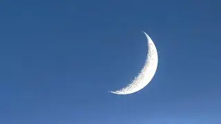 그들의 노래는 달빛으로 얽혀든다