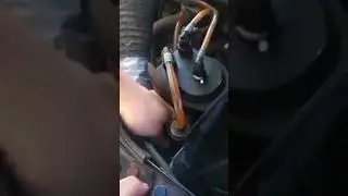 come riempire il filtro del gasolio motore 1.5 dci #shorts #shortvideo #diy #renault