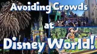 How to AVOID Crowds at DISNEY WORLD | Moms with Mouse Ears