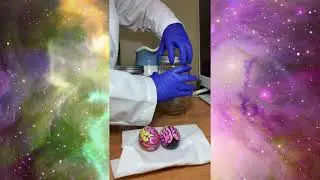How Does the Brain Stay Safe? Fun Egg Science Experiment for Kids