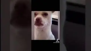 Прикол