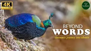 Cinematic Nature Documentary Film | Wildlife Documentary | Indian Jungle | Jungle Trails