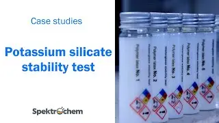 Preliminary studies of latex stability for silicate paints [Case Studies]