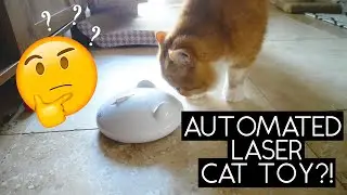AUTOMATED LASER CAT TOY REVIEW | SVEN AND ROBBIE