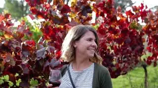 Feast High Country Festival:  Wining and dining