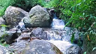 Soft River Water for Calm Nights
