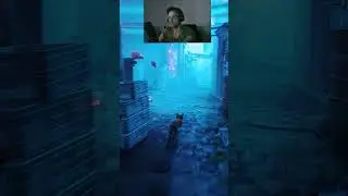 Werde ich zum Katzenfreund durch die Platin Troph&auml;e in Stray? 🐈 #shorts #shorts #stray #gaming