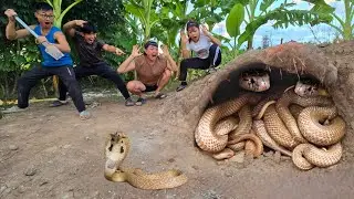 Brave Hunter Catch 100 Cobras With Bare Hands