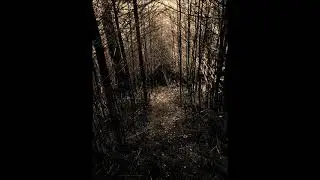 Stormblast - Of Ancient Warfare and Pride