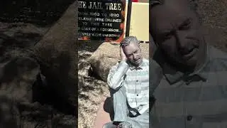 The Jail Tree in Wickenburg Arizona