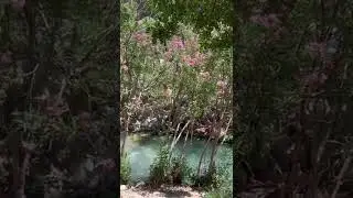 #shorts #природа #meditation #relax #music #musicrelax #video #videorelaxante #spain #espa&ntilde;a #water