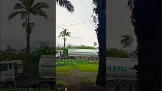West New Britain Palm Oil to the world #papuanewguinea #palmoil #europe